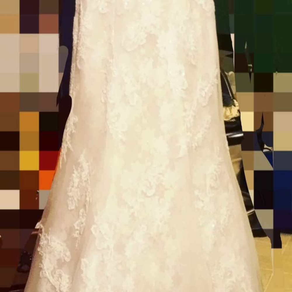 Cassinni Gown. Elegant Lace Wedding Dress